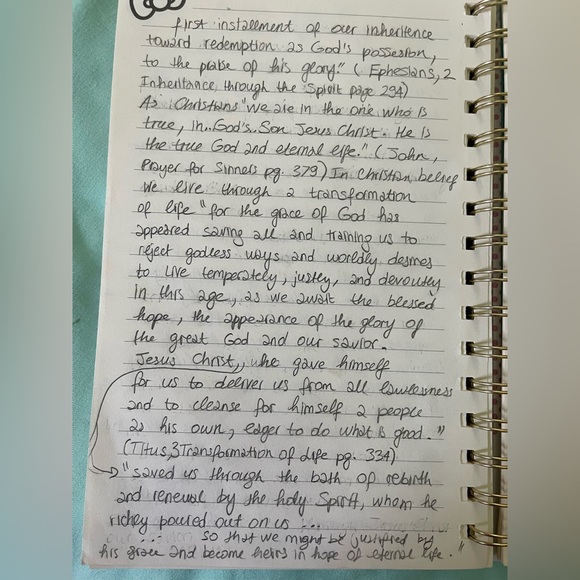 Barbie Island Princess Tika Elephant Toy - Picture 9 of 12